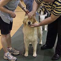 Handling class