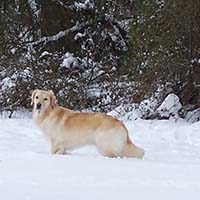 snow