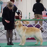 ellie first show