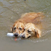 Ellie and Wilbur