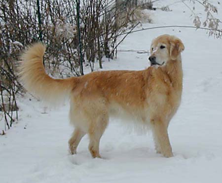 ciara in the snow