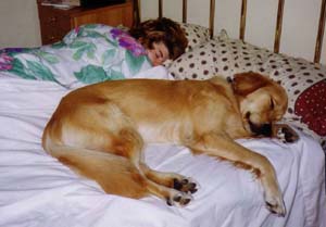seamus on the bed