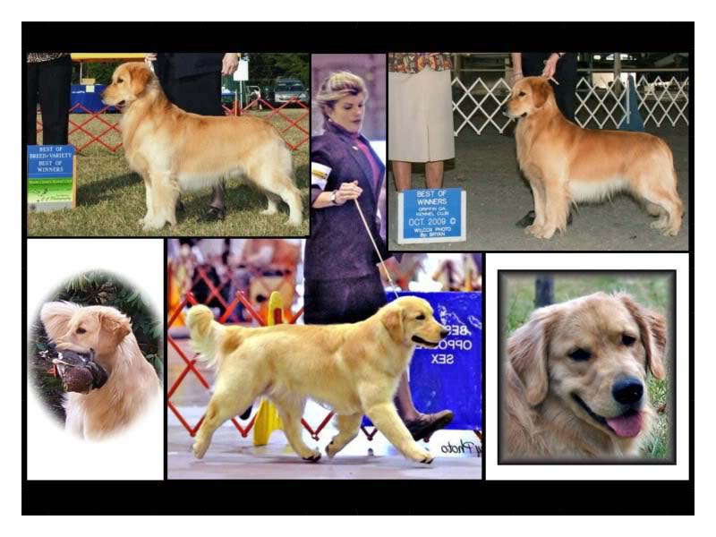 tulley photo