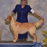 puppy evaluation