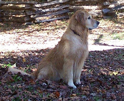 wilbur