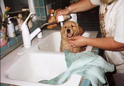 liam bathtime