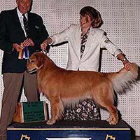 liam best of breed