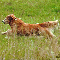 liam in the field